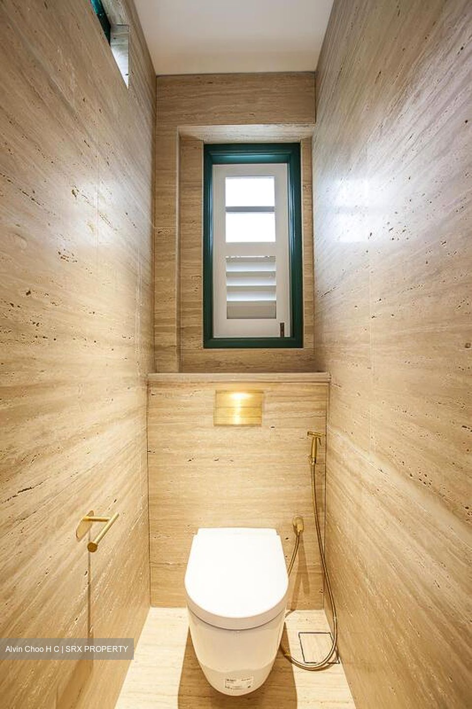 Sago Lane (D1), Shop House #501145451